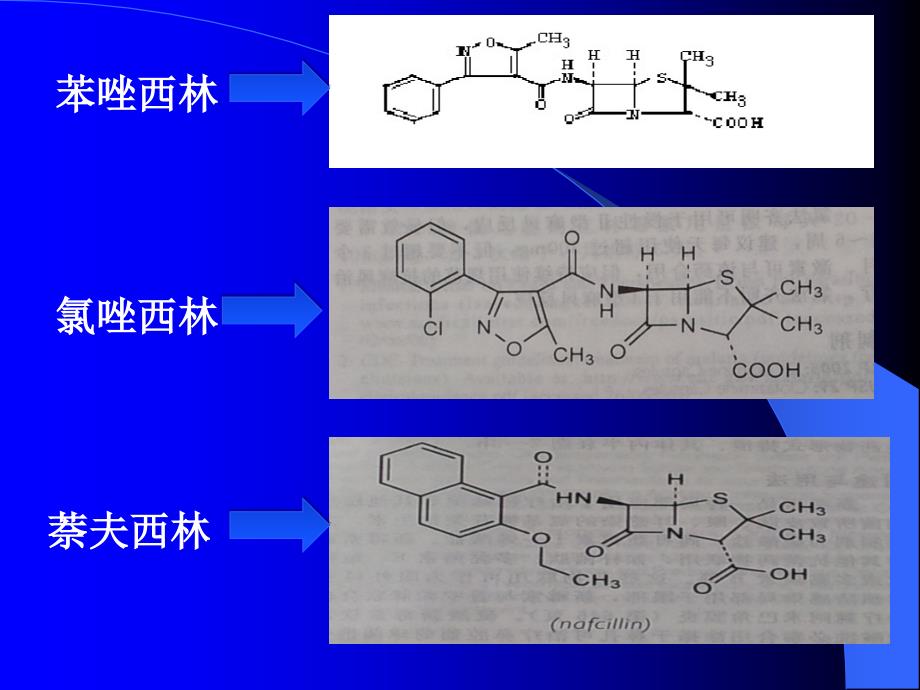 耐酶青霉素ppt课件_第4页