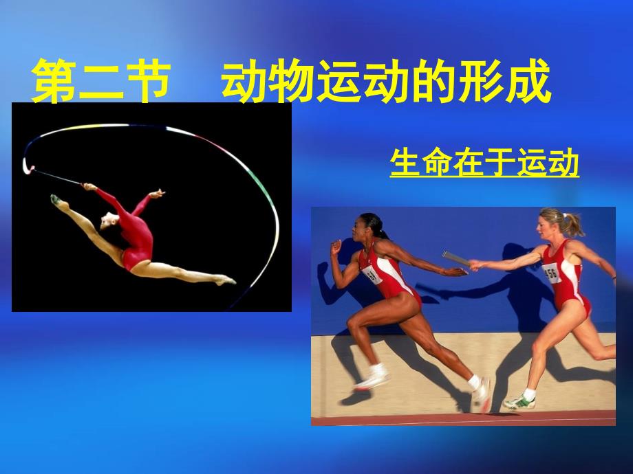 《动物运动的形成》PPT课件.ppt_第3页