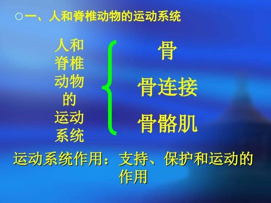 《动物运动的形成》PPT课件.ppt_第5页