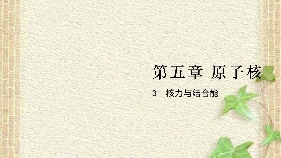 2022-2023年人教版(2019)新教材高中物理选择性必修3 第5章原子核第3节核力与结合能课件(2)_第1页