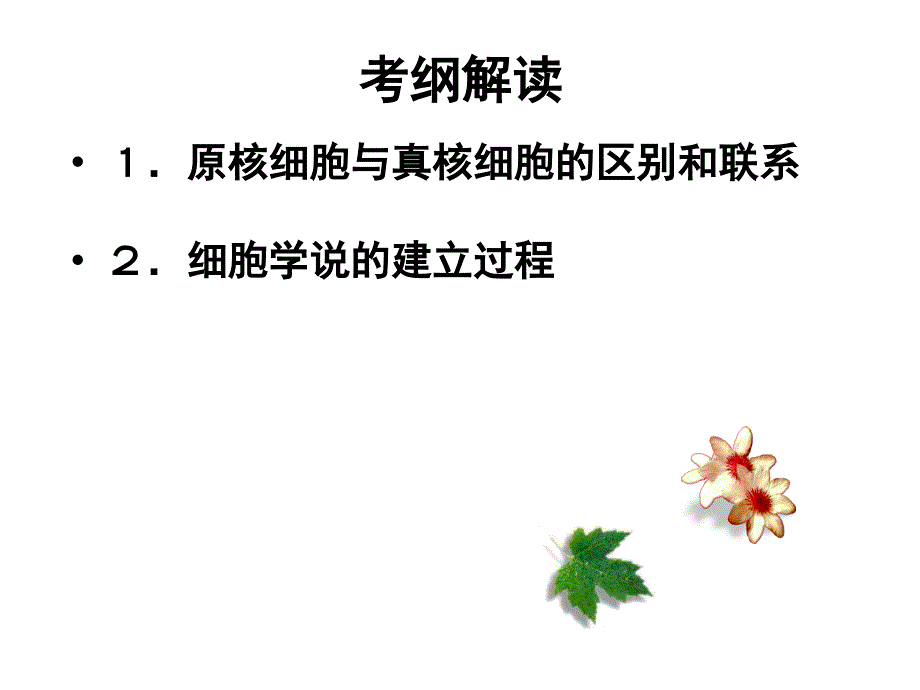 细胞的多样性和统一性(时).ppt_第2页