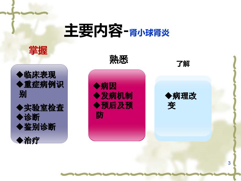 泌尿系统解剖生理基础PPT课件_第3页