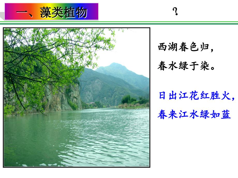 藻类苔藓和蕨类植物PPT课件_第4页