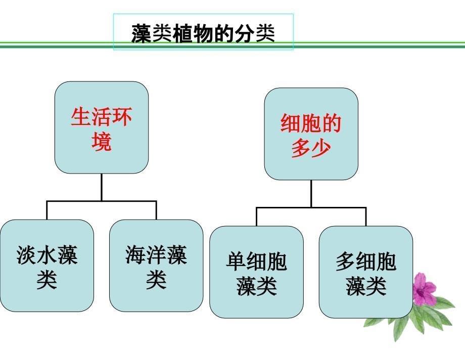 藻类苔藓和蕨类植物PPT课件_第5页