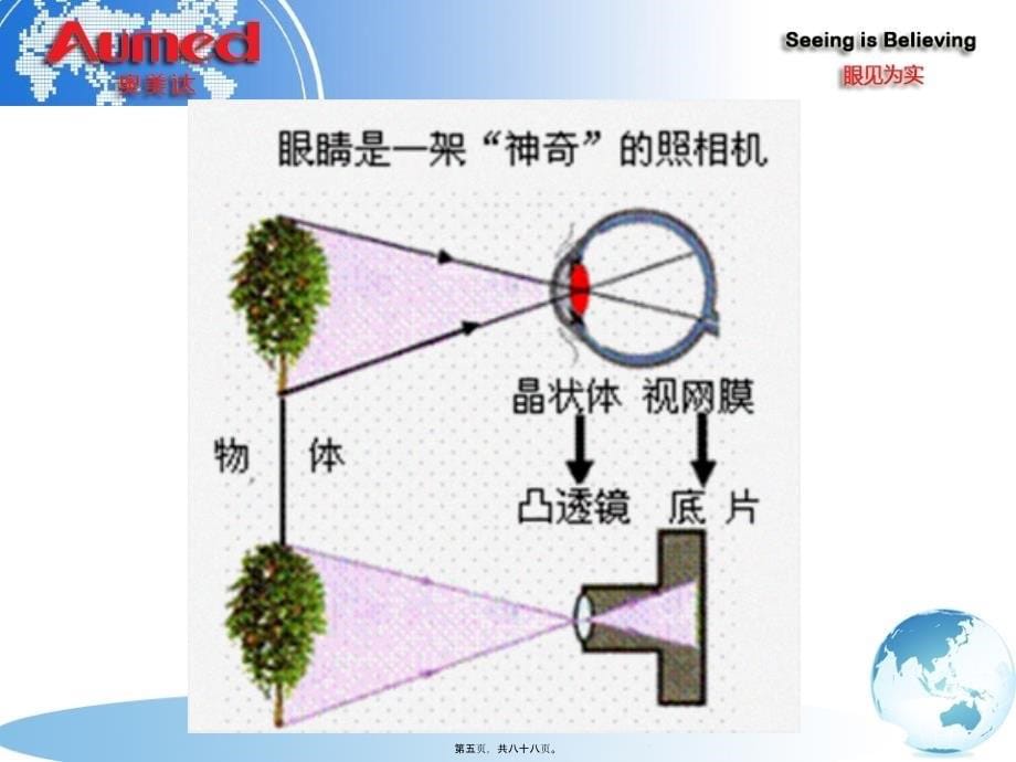 浅谈低视力辅具适配和视觉康复课件_第5页