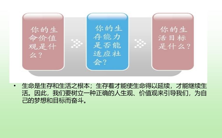 三生生存生命生活教育班会.ppt课件_第2页