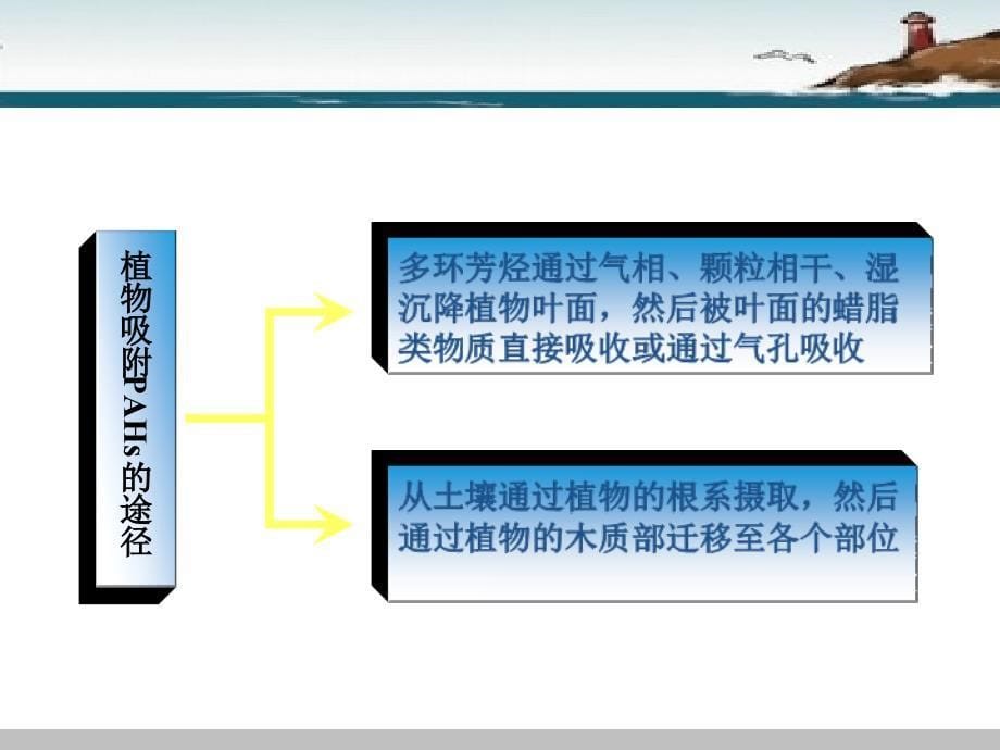 植物表面典型多环芳烃类污染物的测定PPT课件_第5页