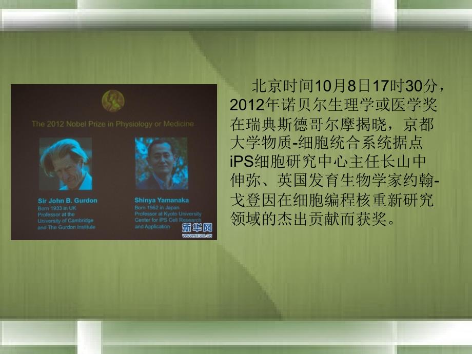 IPS诱导多功能干细胞.ppt_第2页