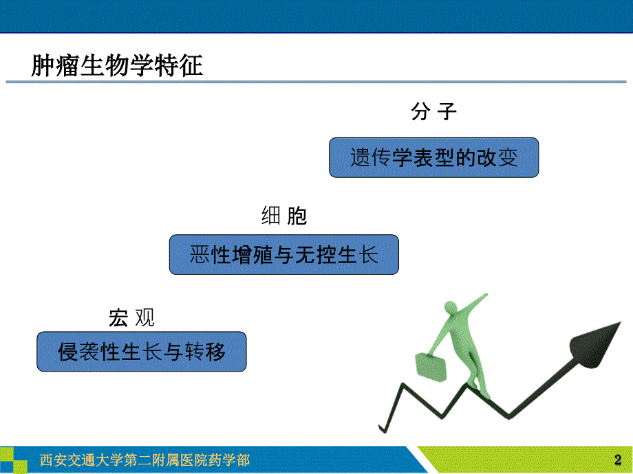 药物基因组学在肿瘤靶向治疗中的应用课件_第3页