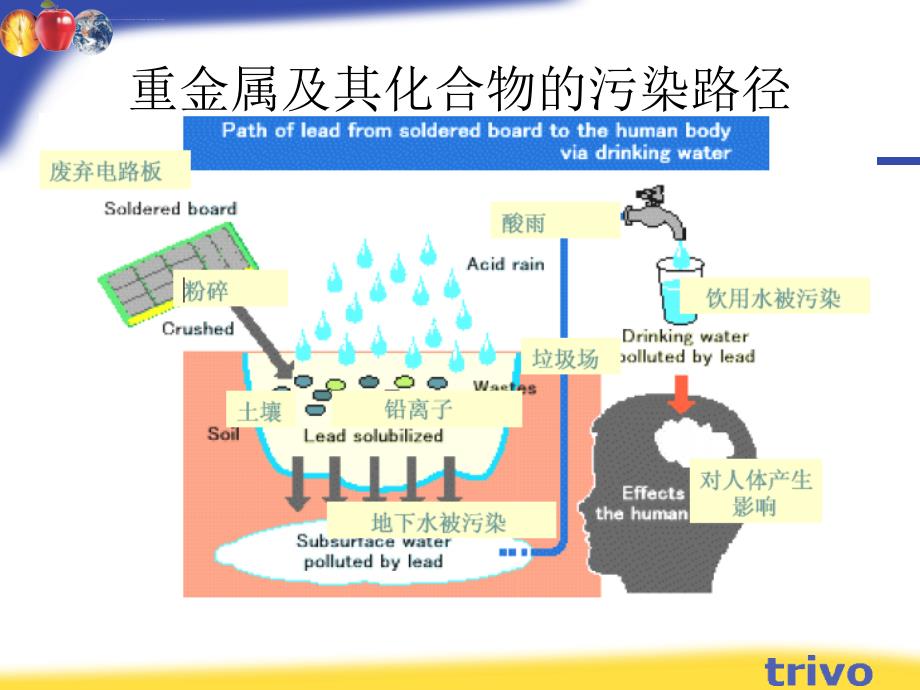 ROHS简介及管控说明ppt课件_第4页