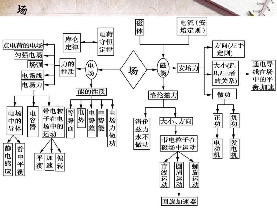 高效备考二轮物理_第5页