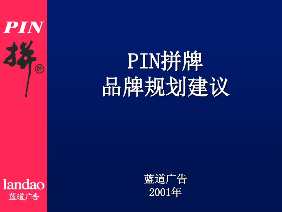 PIN品品牌规划建议_第1页