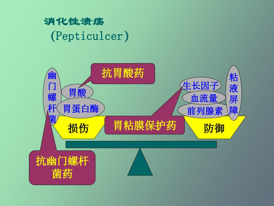 作用于消化系统药物本科第_第4页