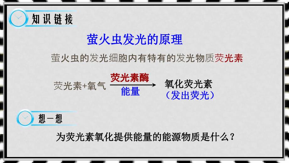 高中生物 第五章 细胞的能量供应和利用 5.2 细胞的能量通货ATP课件 新人教版必修1_第3页