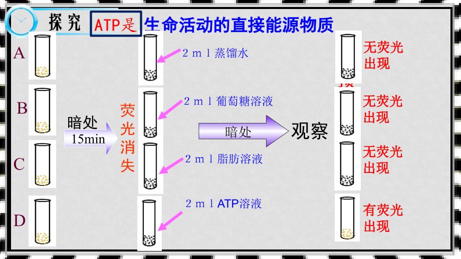 高中生物 第五章 细胞的能量供应和利用 5.2 细胞的能量通货ATP课件 新人教版必修1_第4页