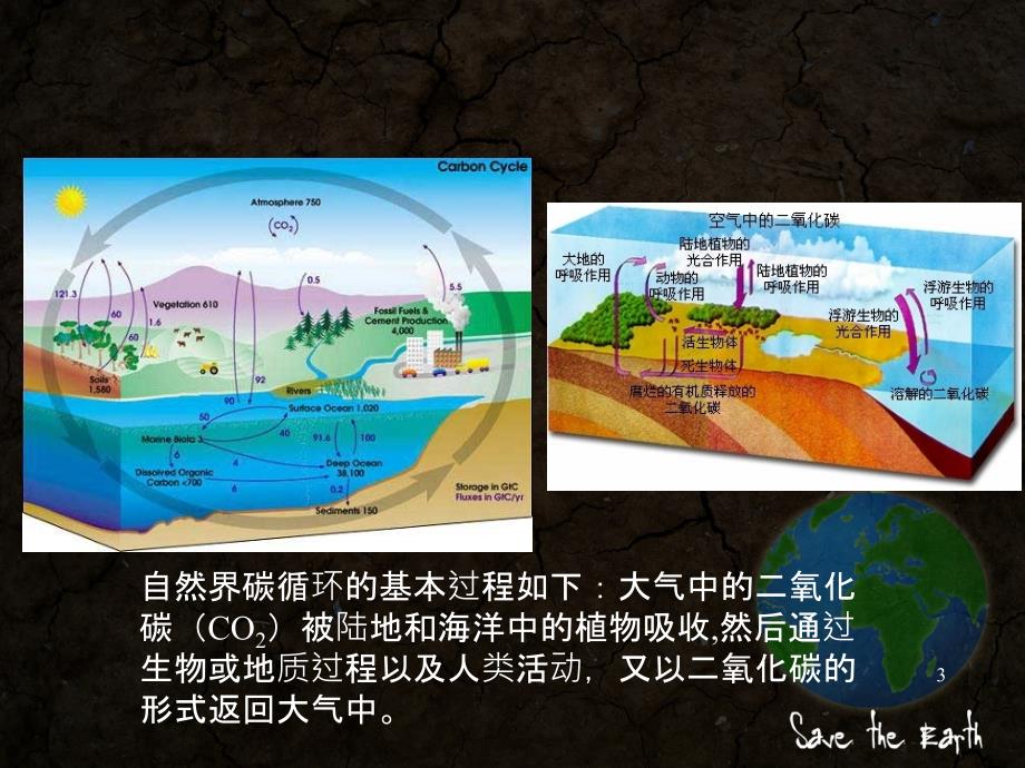 土壤碳循环在全球碳循环中的地位与作用_第3页