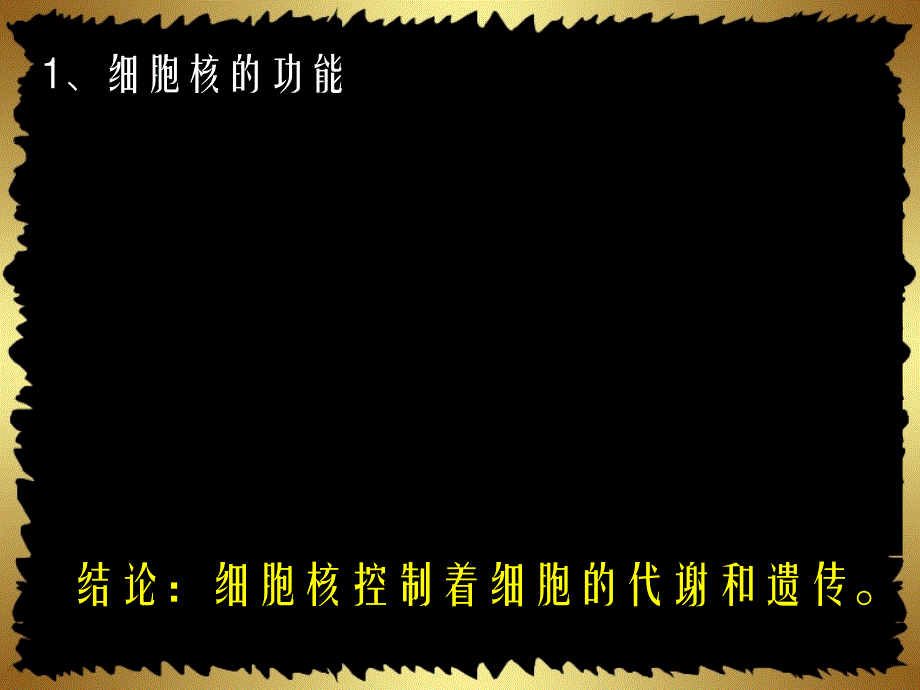 人教版教学课件江苏省南通市小海中学高一生物《细胞核-系统的控制中心》.ppt_第3页