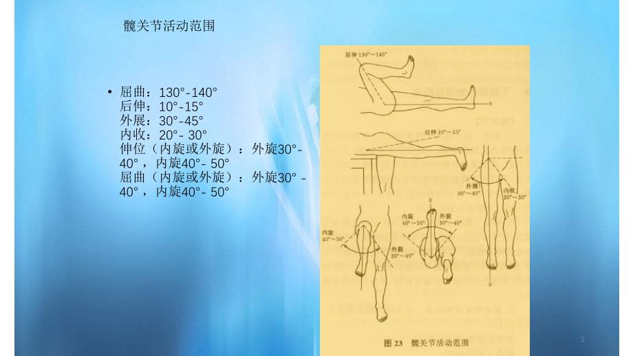 髋关体格检查简单易懂_第3页