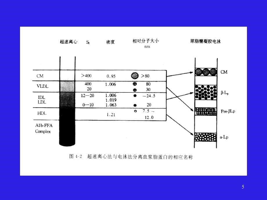 高脂血症及治疗_第5页