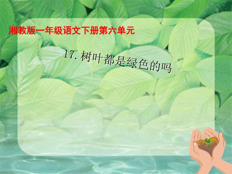 一年级下册语文课件20树叶都是绿色的吗∣湘教版 (共12张PPT)_第1页