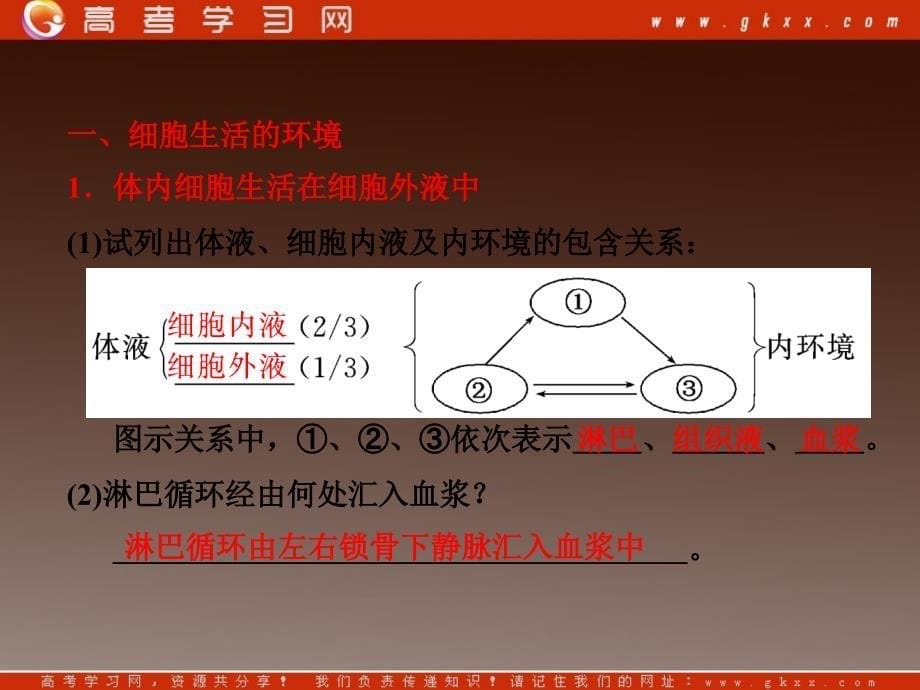 高考生物一轮复习第14章《人体的内环境与稳态》课件（新人教版必修3）_第5页