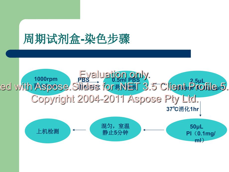 流式凋亡和周检期测-读书报告.ppt_第4页