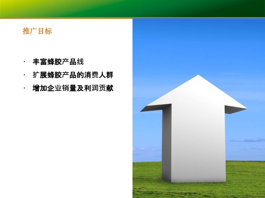 汪氏蜂胶靓颜软胶囊传播策略.ppt_第4页