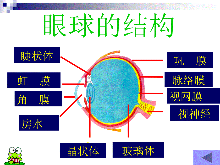 青少年近视眼防治_第3页