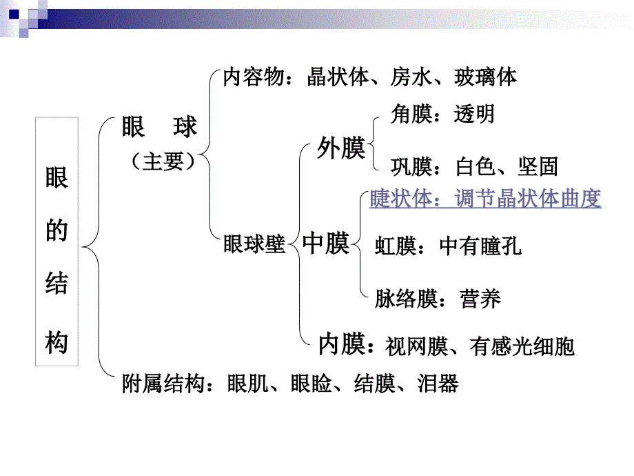 青少年近视眼防治_第4页