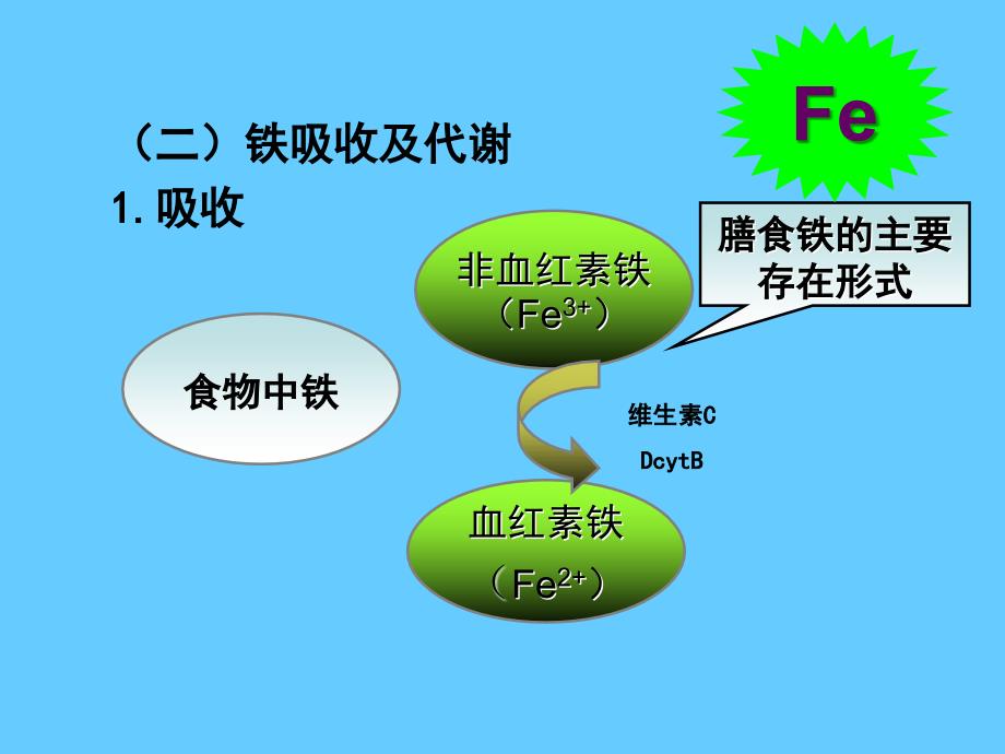 营养学——矿物质铁_第4页