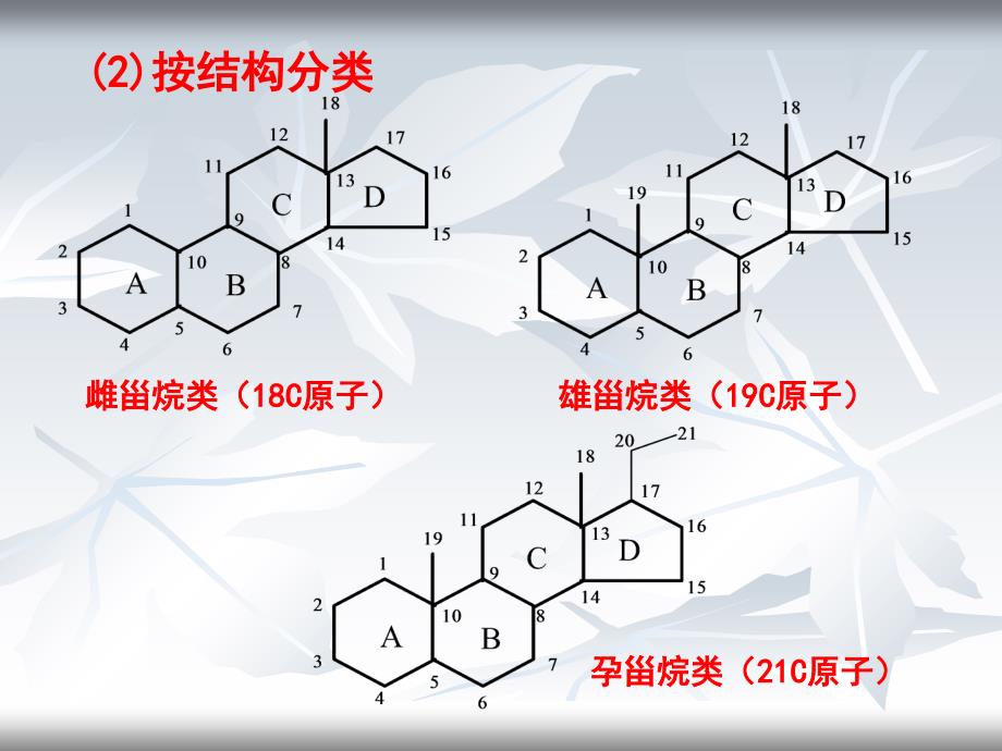 甾体激素重点课件_第4页