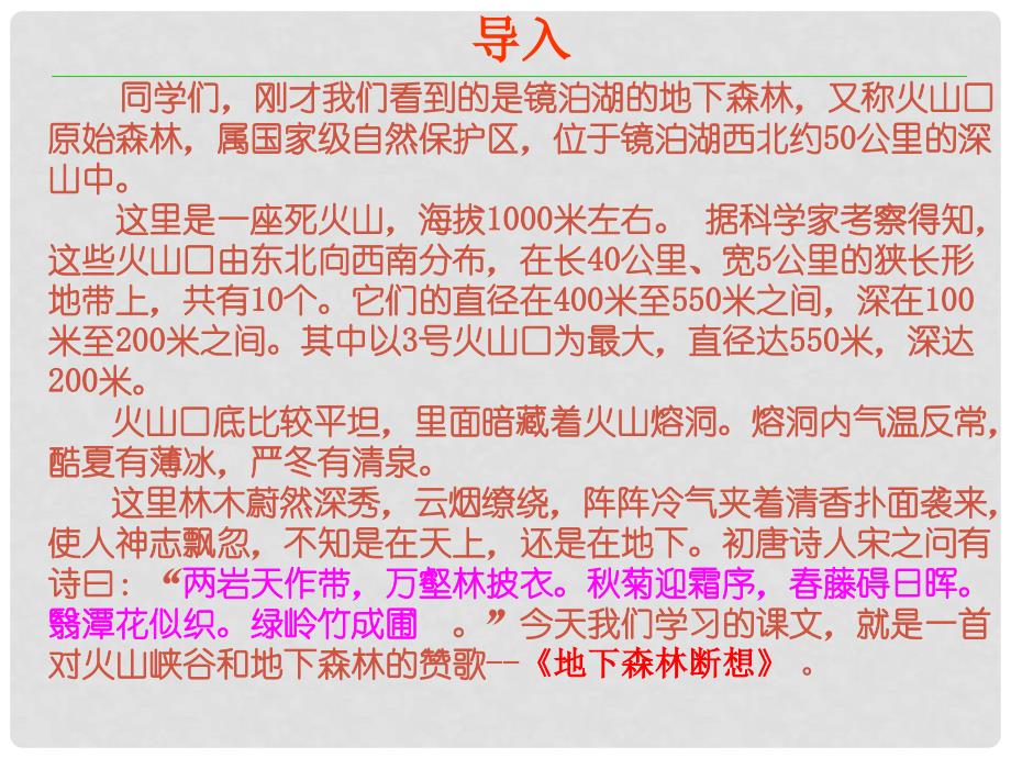 九年级语文上册 2.8《地下森林断想》课件 鲁教版_第2页