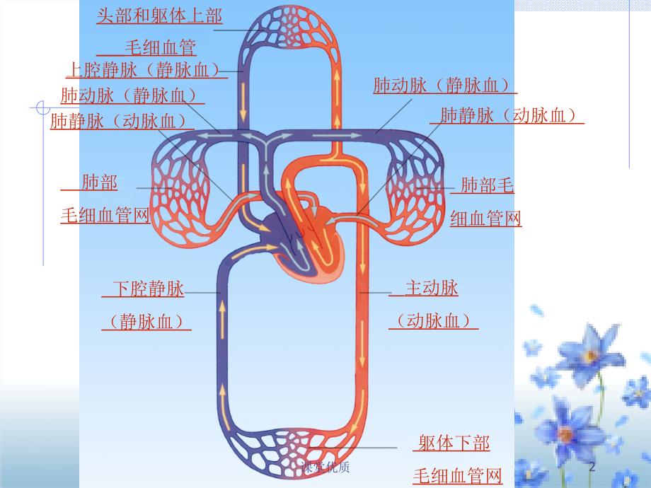 第十章第一节食物中能量的释放[知识发现]_第2页