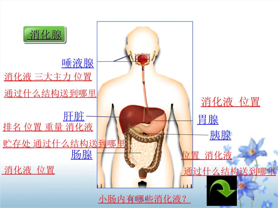 第十章第一节食物中能量的释放[知识发现]_第4页