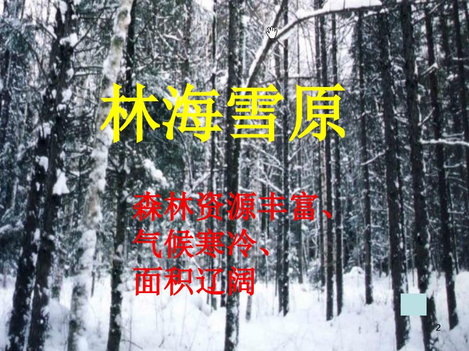 山东人民版思品五年级下册PPT课件林海雪原_第2页