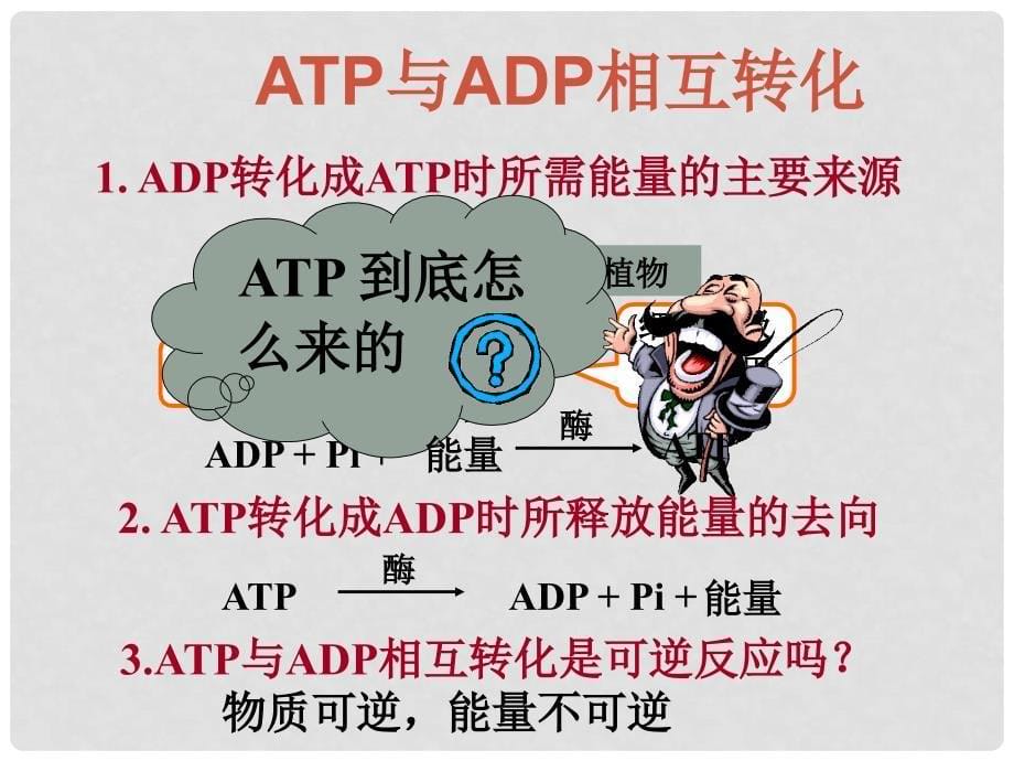 河南省平顶山叶县0910高三生物课件集苏教版必修1ATP_第5页