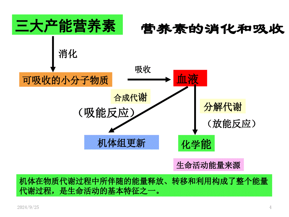 人体需要的能量和营养素课堂PPT_第4页