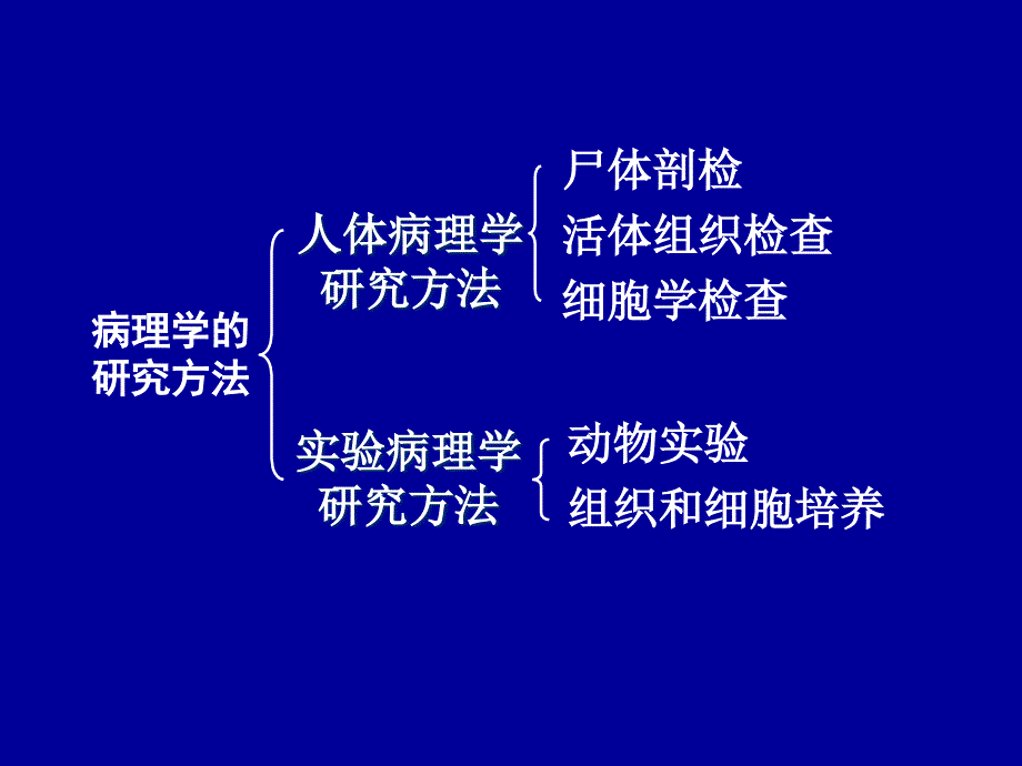 第六节临床病理学检查_第2页