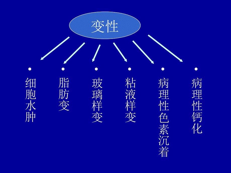 第六节临床病理学检查_第5页