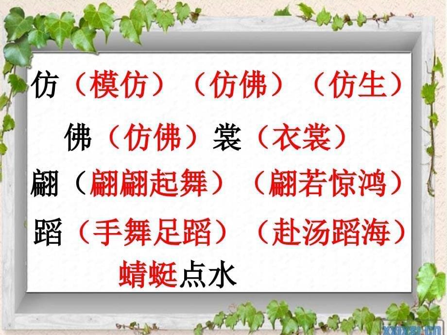 人教版三年级下册荷花.ppt_第5页