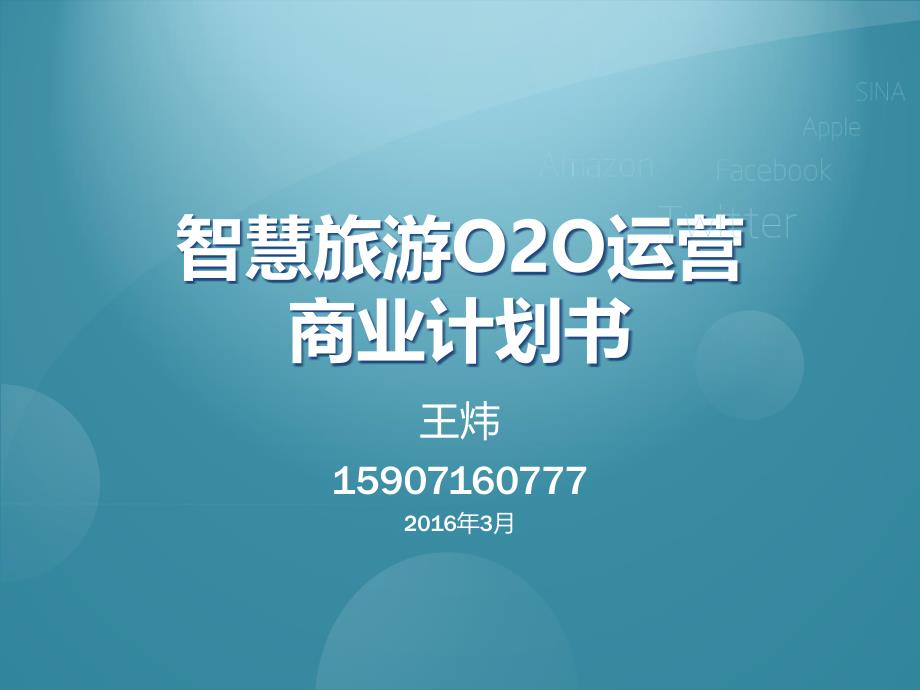 智慧旅游商业计划书_第1页