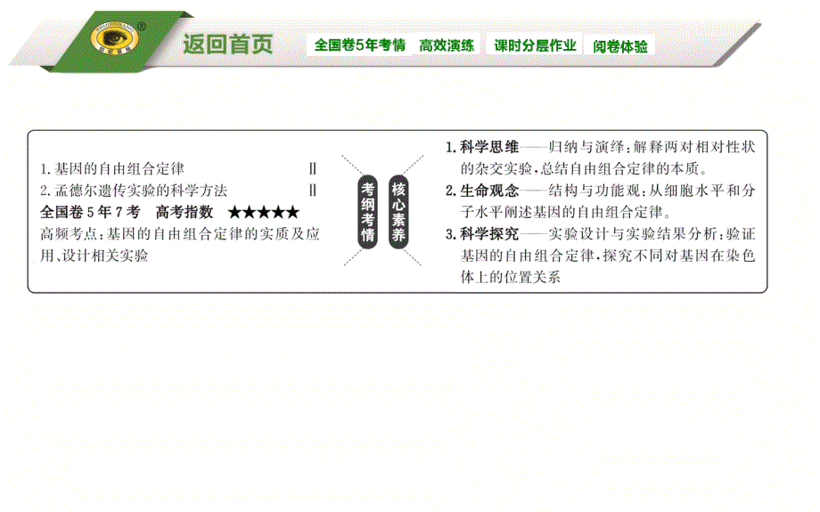 52孟德尔的豌豆杂交实验(二)_第2页