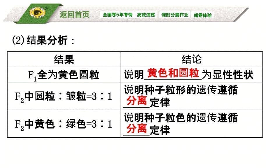 52孟德尔的豌豆杂交实验(二)_第5页