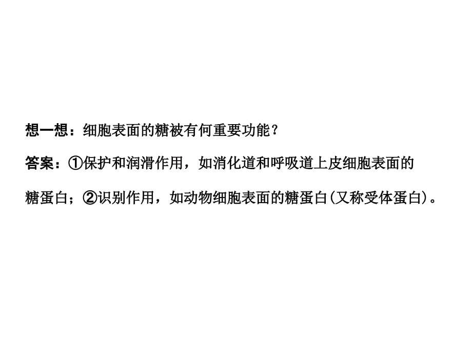 高考生物第一轮基础自主梳复习7_第5页