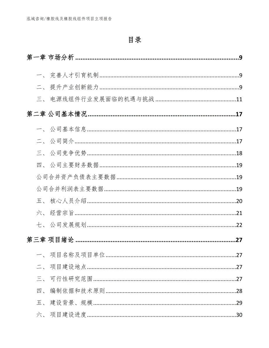 橡胶线及橡胶线组件项目立项报告模板_第4页