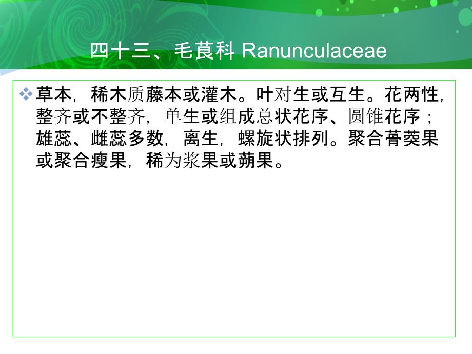 四十三毛茛科Ranunculaceae_第1页