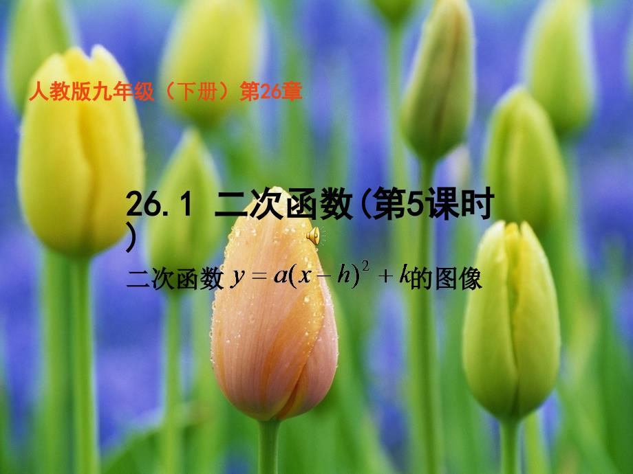 九年级数学（下册）第26章（共21张）课件人教版_第1页