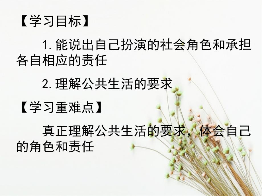 七年级政治下册7.2理解公共生活课件北师大版课件_第2页