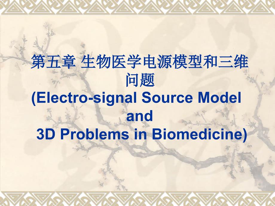 生物医学电源模型和三维问题.ppt_第1页