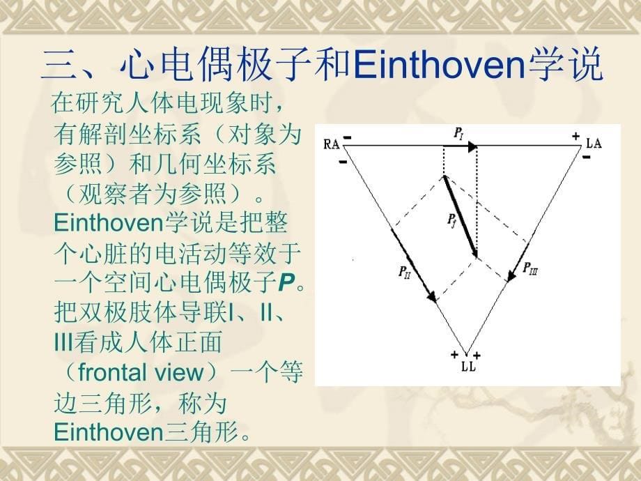 生物医学电源模型和三维问题.ppt_第5页